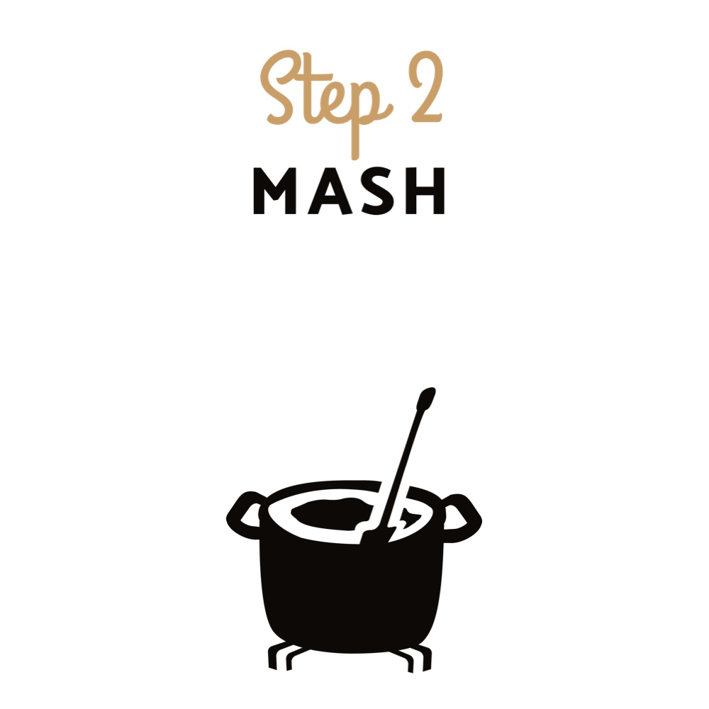 Beer Brewing Instructions - Step 2 - Mash