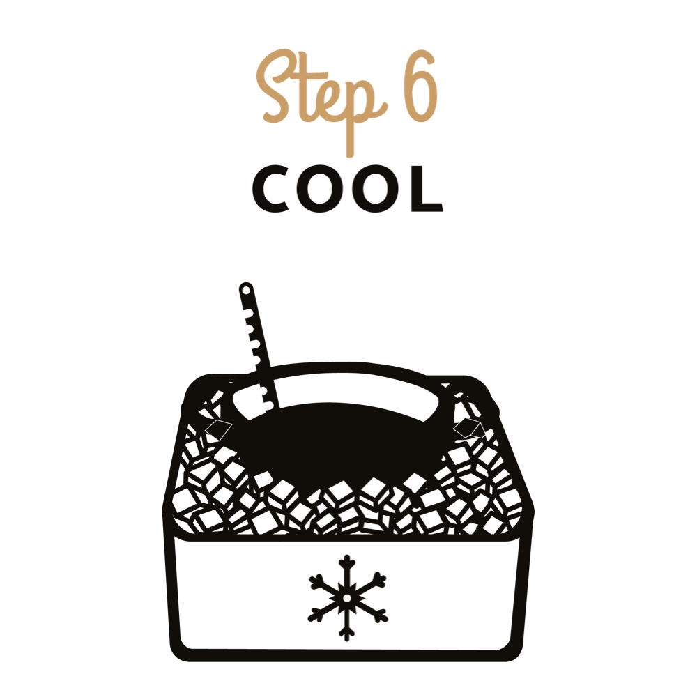 Beer Brewing Instructions - Step 6 - Cool