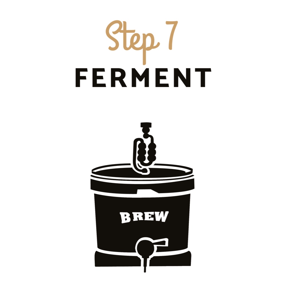 Beer Brewing Instructions - Step 7 - Ferment