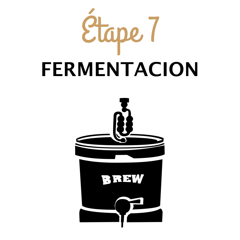 Guide de fabrication de la bière maison - Étape 7 - Fermentacion