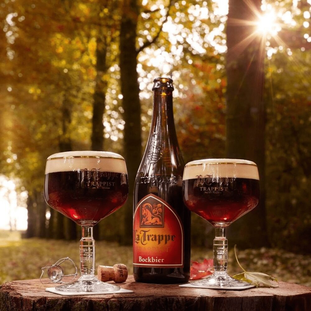 Brew Monkey bierbrouwpakket - bierpakket cadeau la trappe bokbier