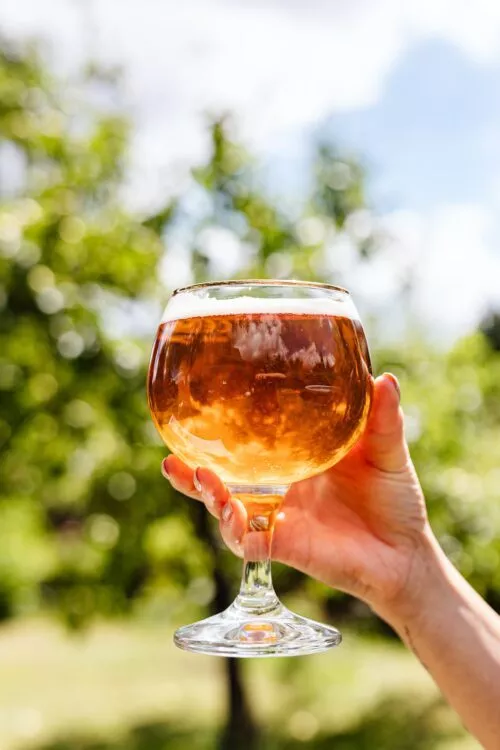 Bierglas - Wunderschönes Bierglas mit Inhalt in der strahlenden Sonne