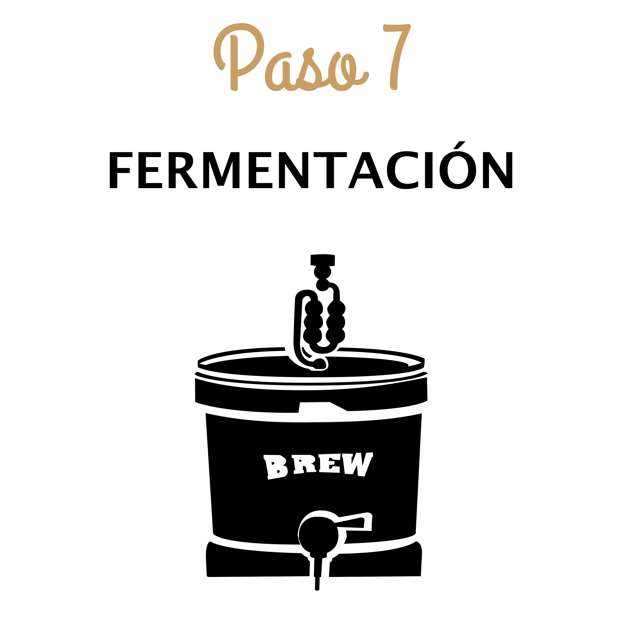 Hacer tu propia cerveza - Paso 7 - Fermentación